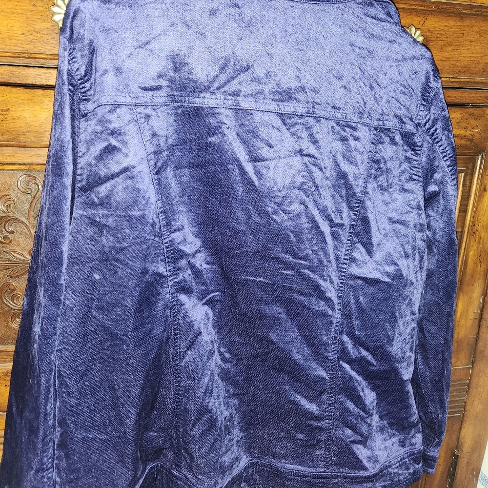 Purple Grape Jacket - image 3